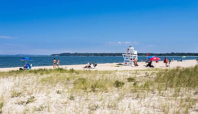 Seashell – Short Walk to Long Beach, Heated Pool & Best Sunsets in the Hamptons in Sag Harbor