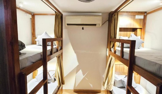 SLepYY FoX - Backpacker Hostel in Greater Kailash in New Delhi