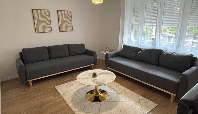 Spacious accommodation 15 minutes from Paris in Noisy-le-Sec