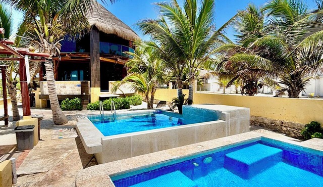 Stunning 3-Bedroom Beachfront Apartment with pool, Chef, Staff & Internet in playa del carmen