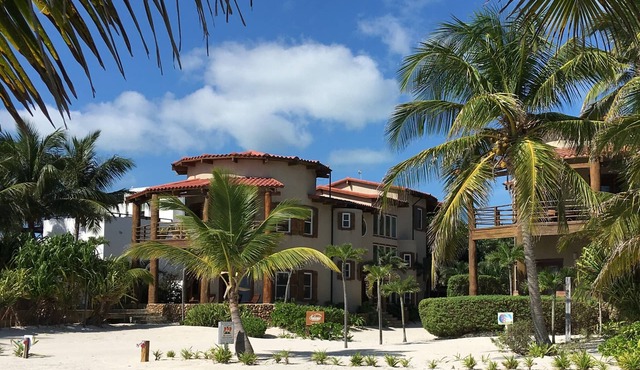 Stunning Luxury Beachfront Villa. Dipping Pool and Full Pool. 5BDR in San Pedro Town