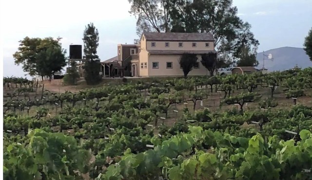 Temecula Wine Country Home on 5 Acre Vineyard in Temecula