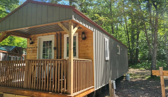 Tiny cabin in towering pines, with lake view. Pets accepted! in Nevis