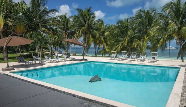 Villa Balam Nah | 6BR | Beachfront Family Oasis in Cancún