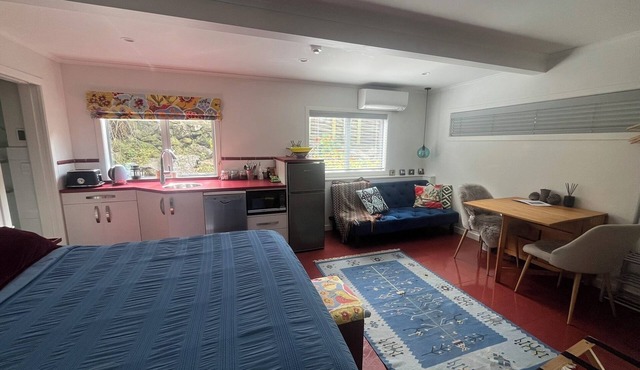 Walk to Western Springs and Eden Park! Vibrant studio, with lovely courtyard. in Auckland