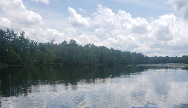 Waterfront Home on Chadakoin River! 10 minutes to Chautauqua Lake! in Jamestown