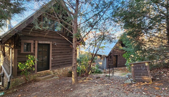 Wild Turkey’s Roost | Cozy Cabin w/Fireplace + Biltmore Pass in Black Mountain