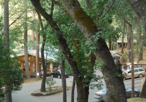 Yosemite Bug Rustic Mountain Resort in Midpines