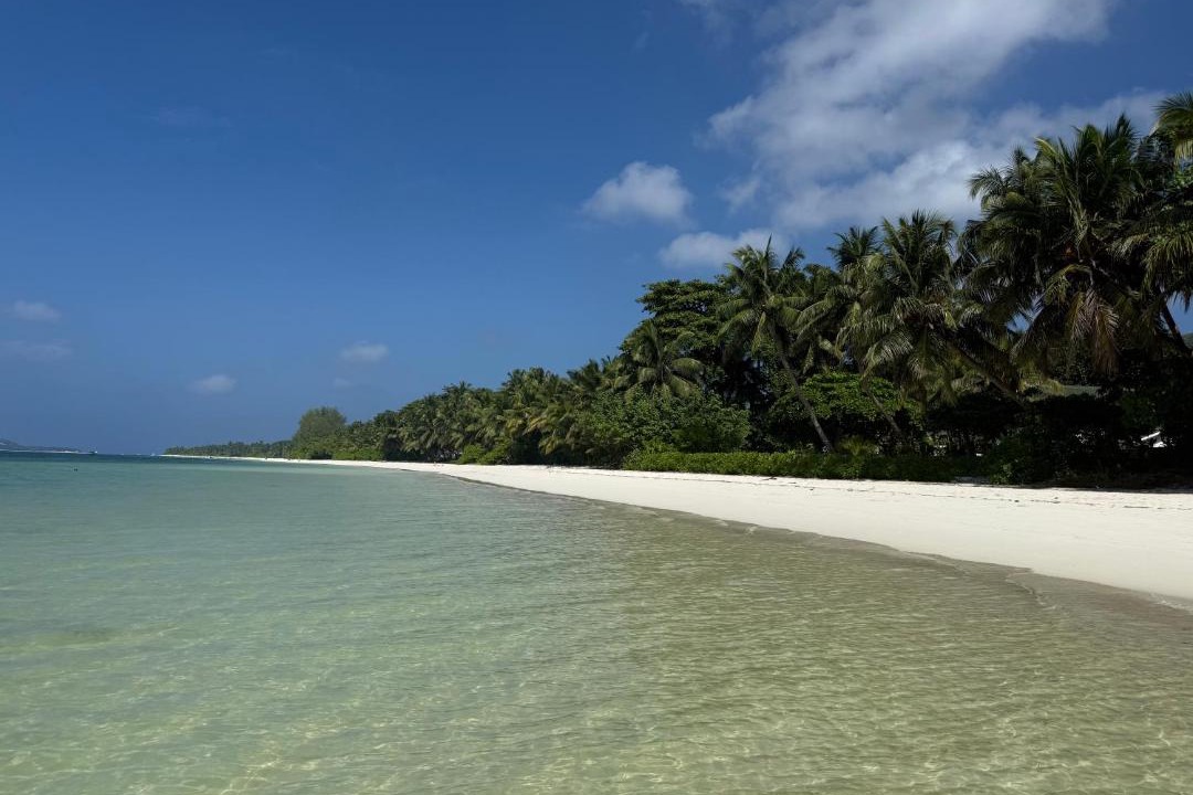 Grand Anse House | Belle Vacance
