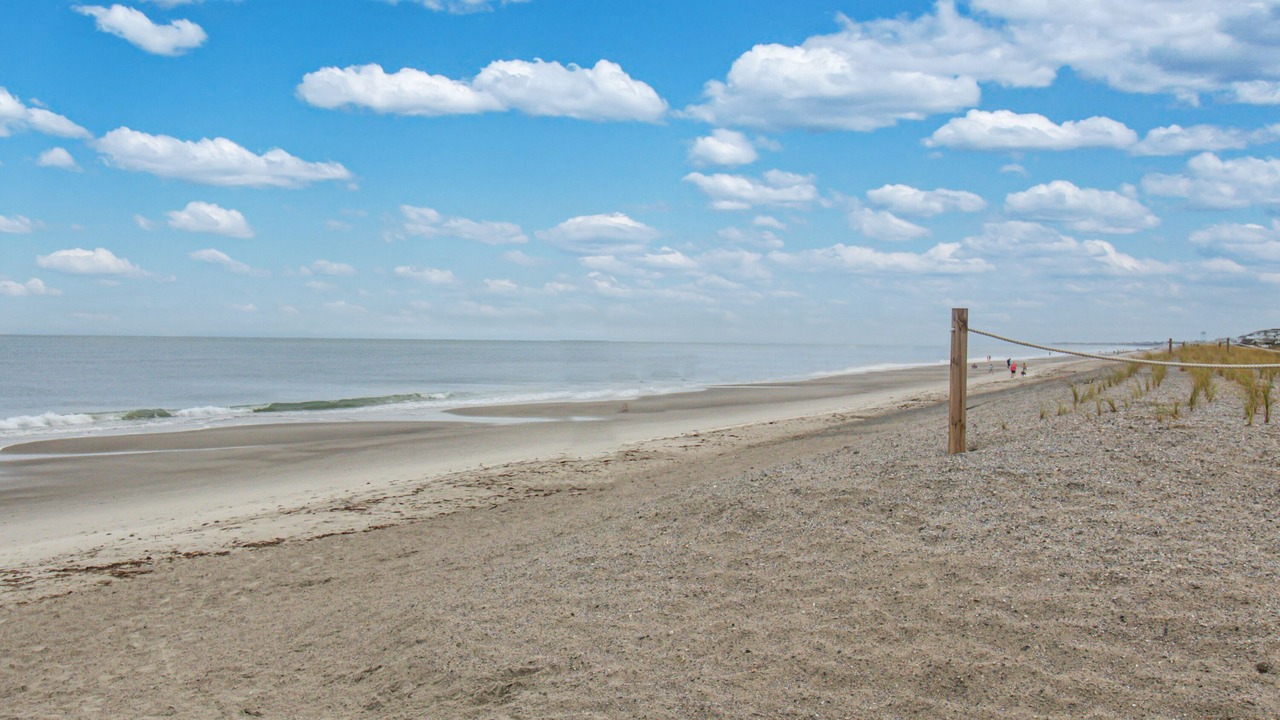 Photo of Others in Long Beach