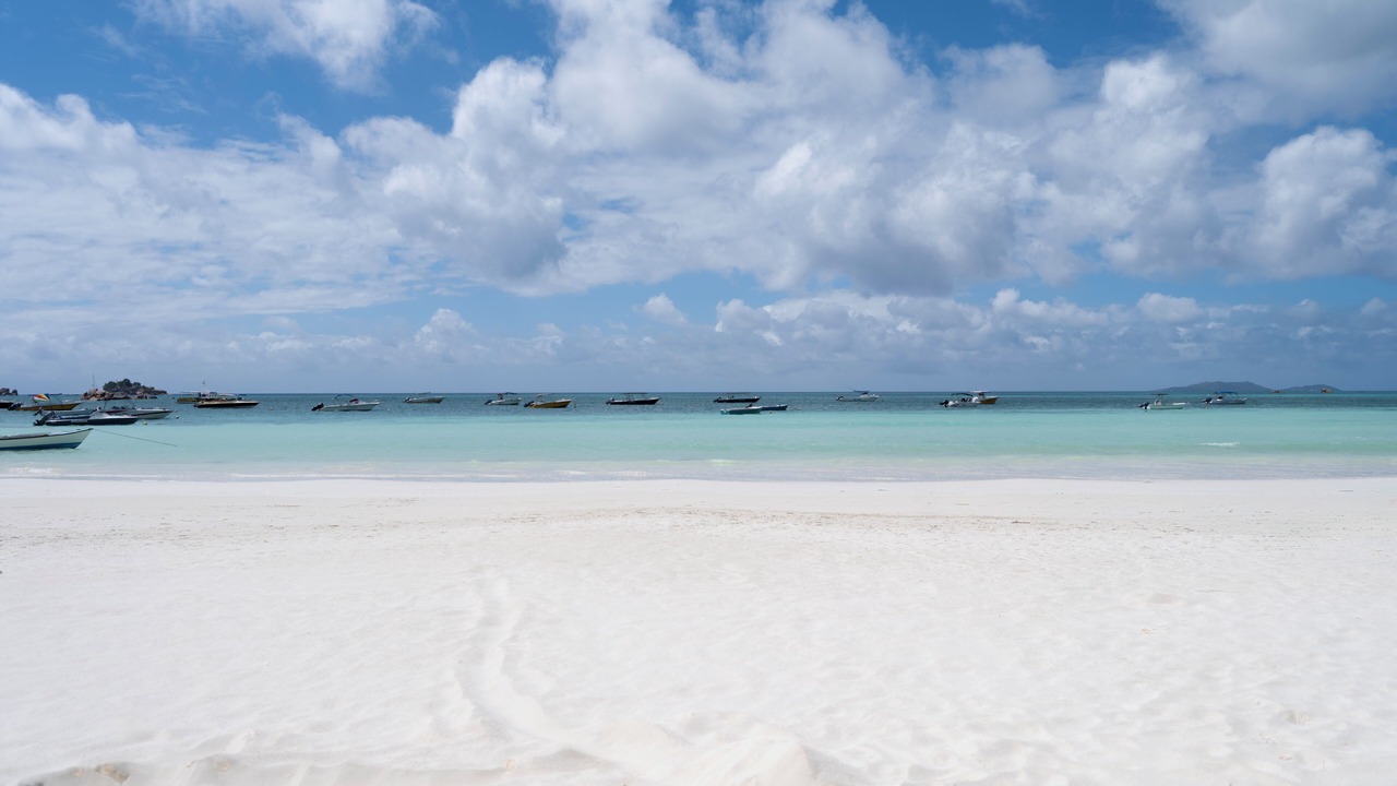Photo of Others in Praslin Island