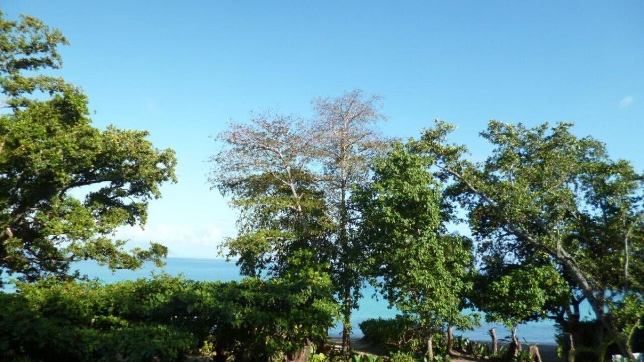 Photo of Outdoor in Beau Vallon