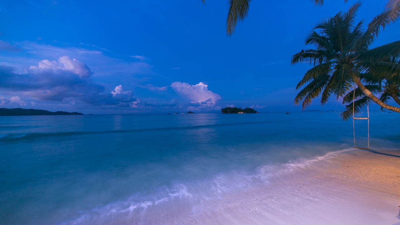 Photo of Others in Anse Volbert Village
