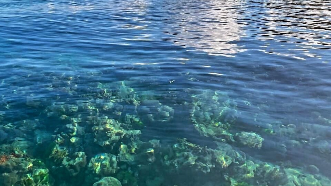 Photo of Outdoor in Cerf Island