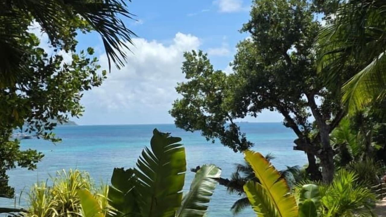 Photo of Others in Cerf Island
