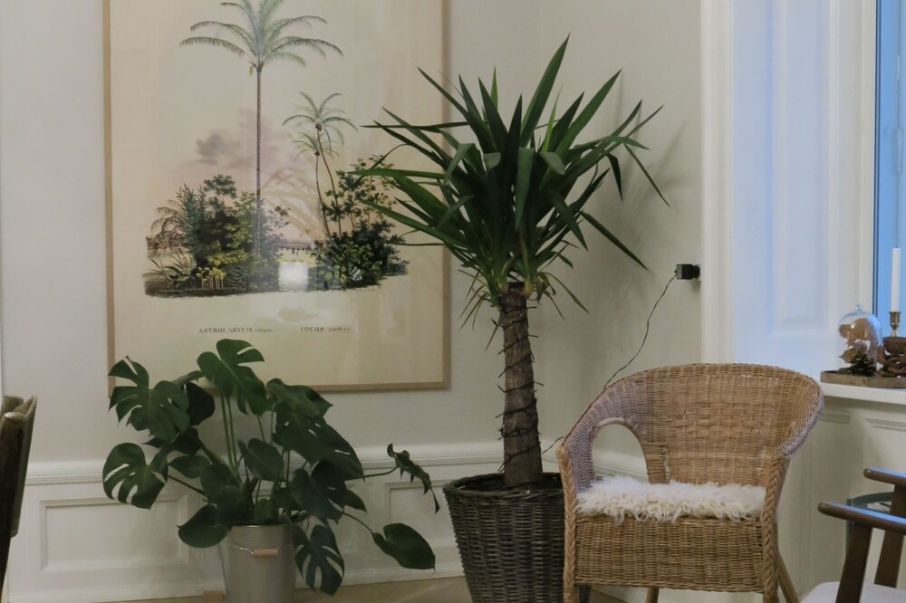 Photo of Bedroom in Osterbro