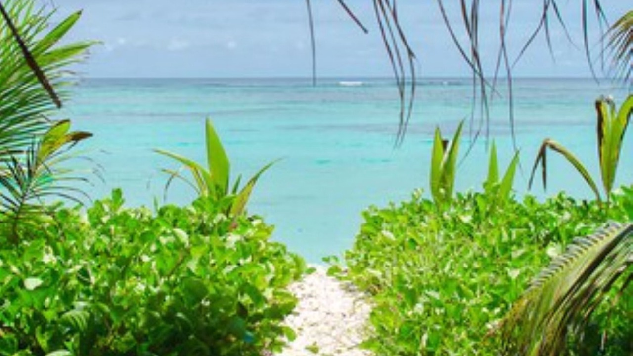 Photo of Others in Anse Royale