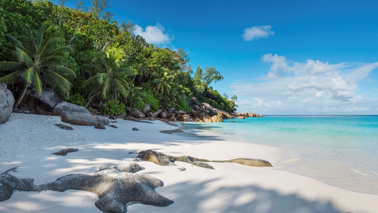 Photo of Others in Anse Kerlan