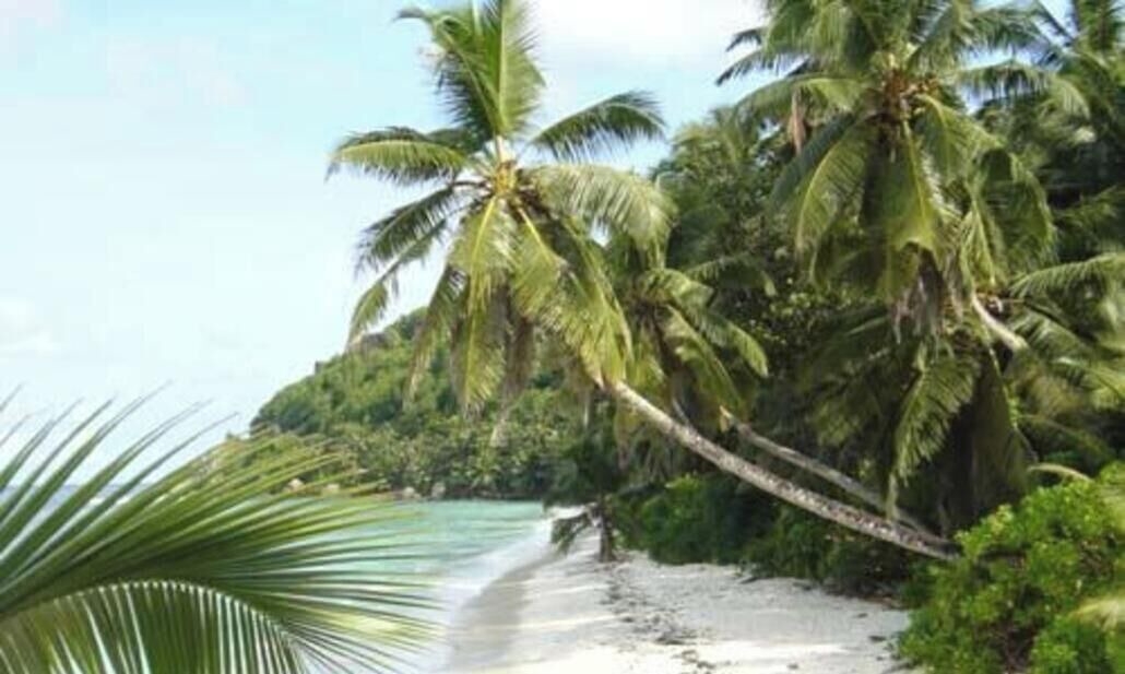 Photo of Others in Anse Royale