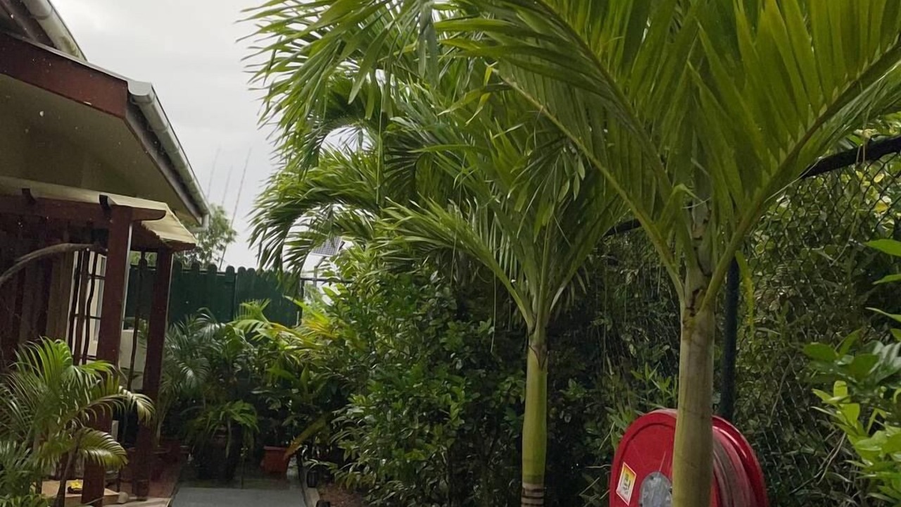 Photo of Outdoor in Anse La Mouche