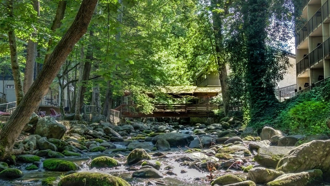 Photo of Others in Gatlinburg