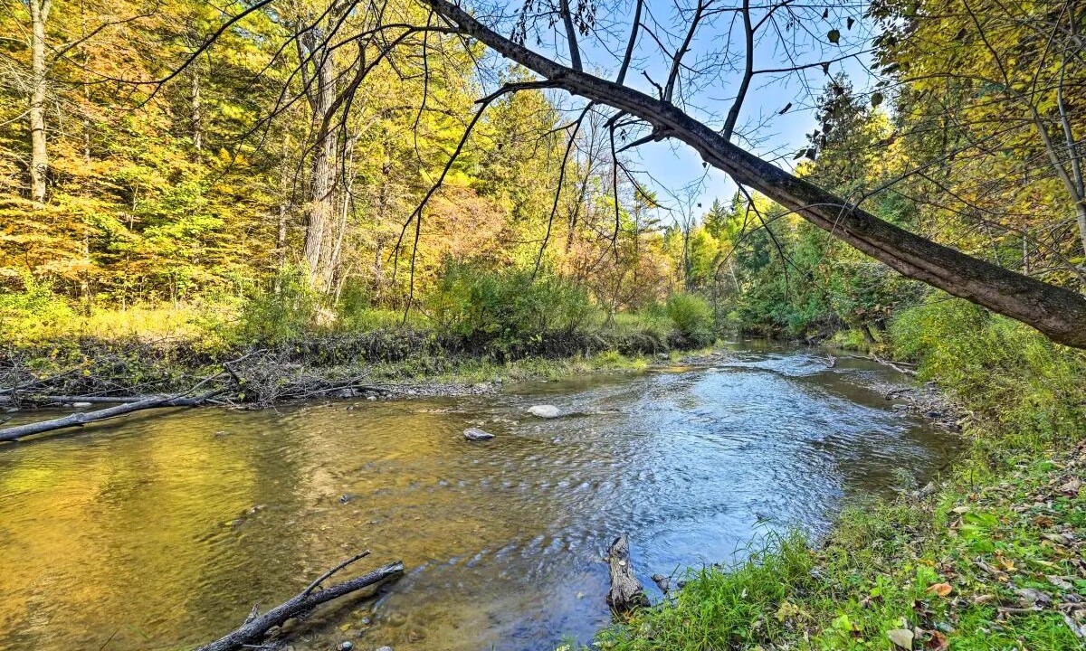 Photo of Others in Gladwin