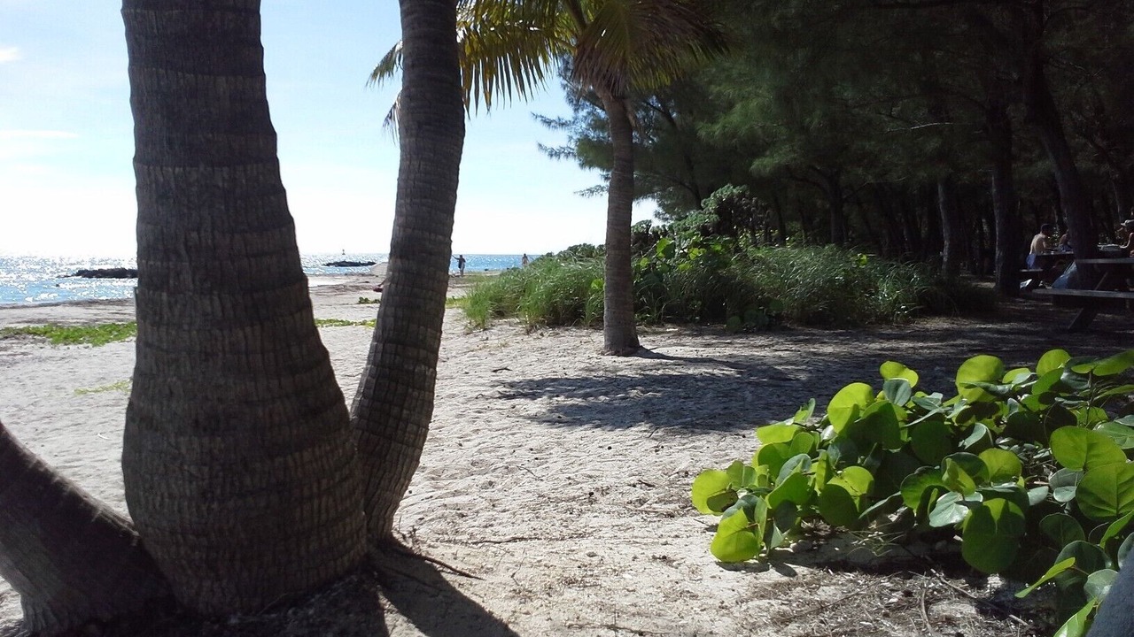Photo of Others in Bahama Village