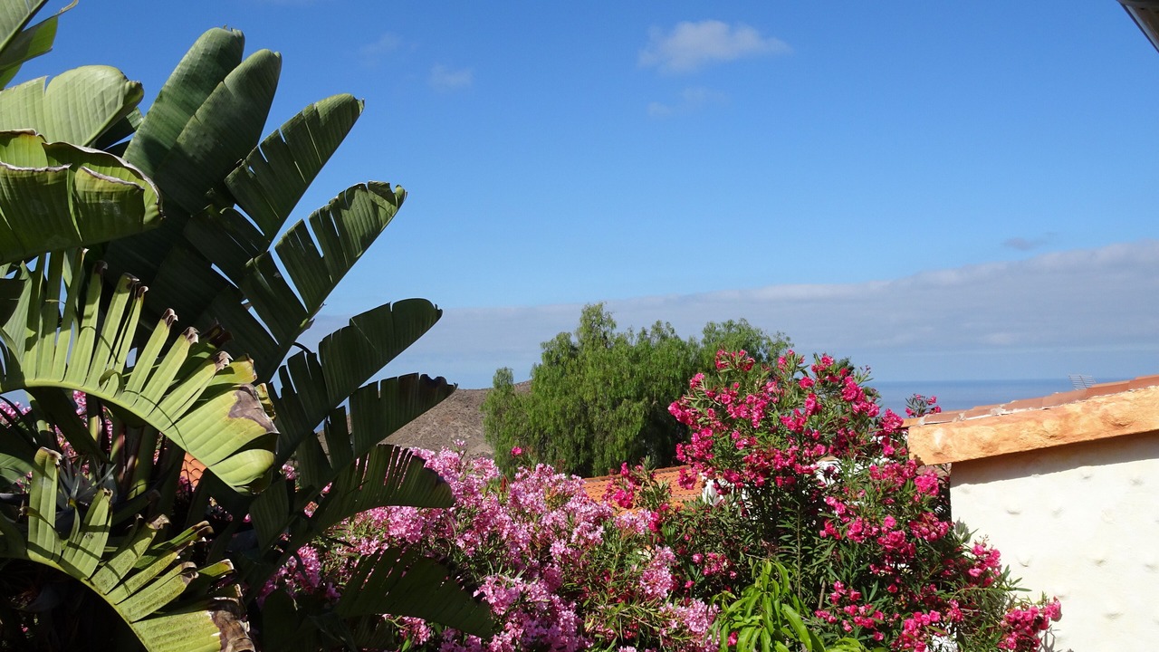 Photo of Outdoor in Chayofa