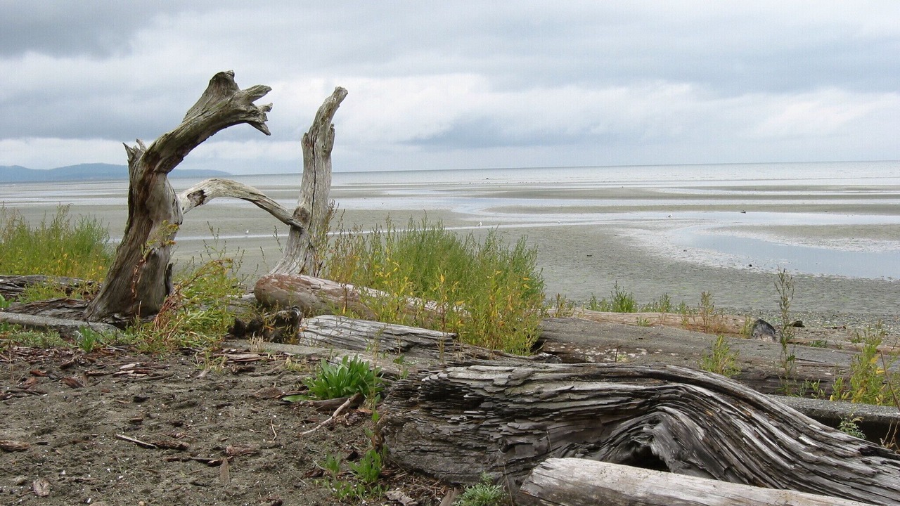 Photo of Others in Regional District of Nanaimo