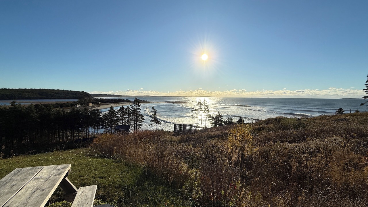 Photo of Outdoor in Clam Bay