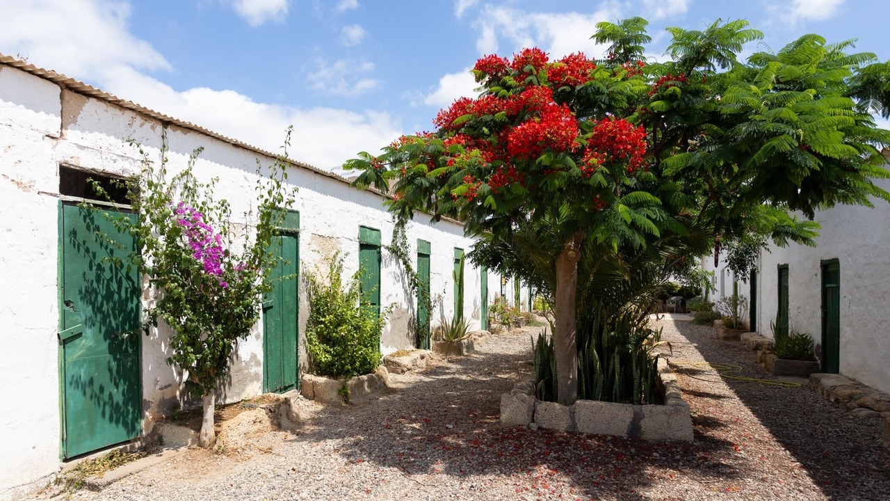 Photo of Outdoor in Palm-Mar