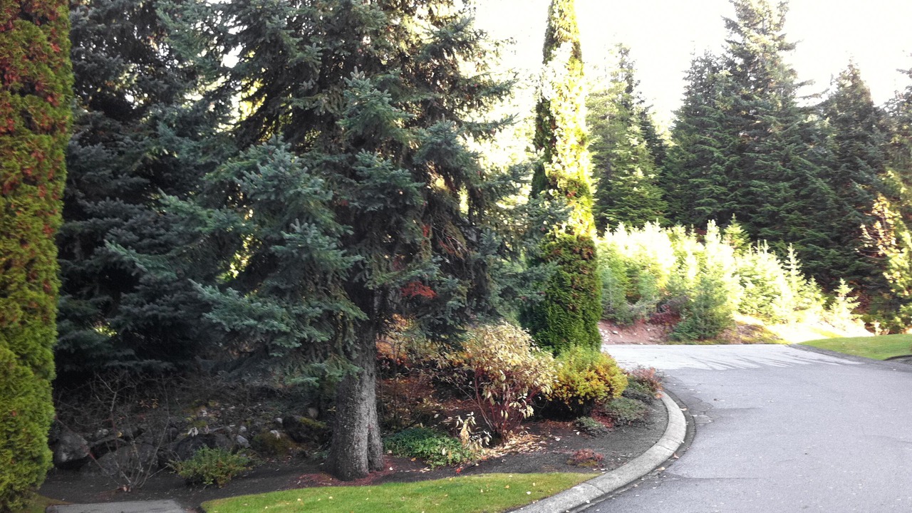 Photo of Others in Upper Village