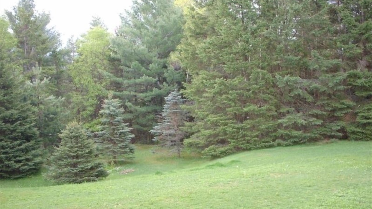 Photo of Others in Lake Placid