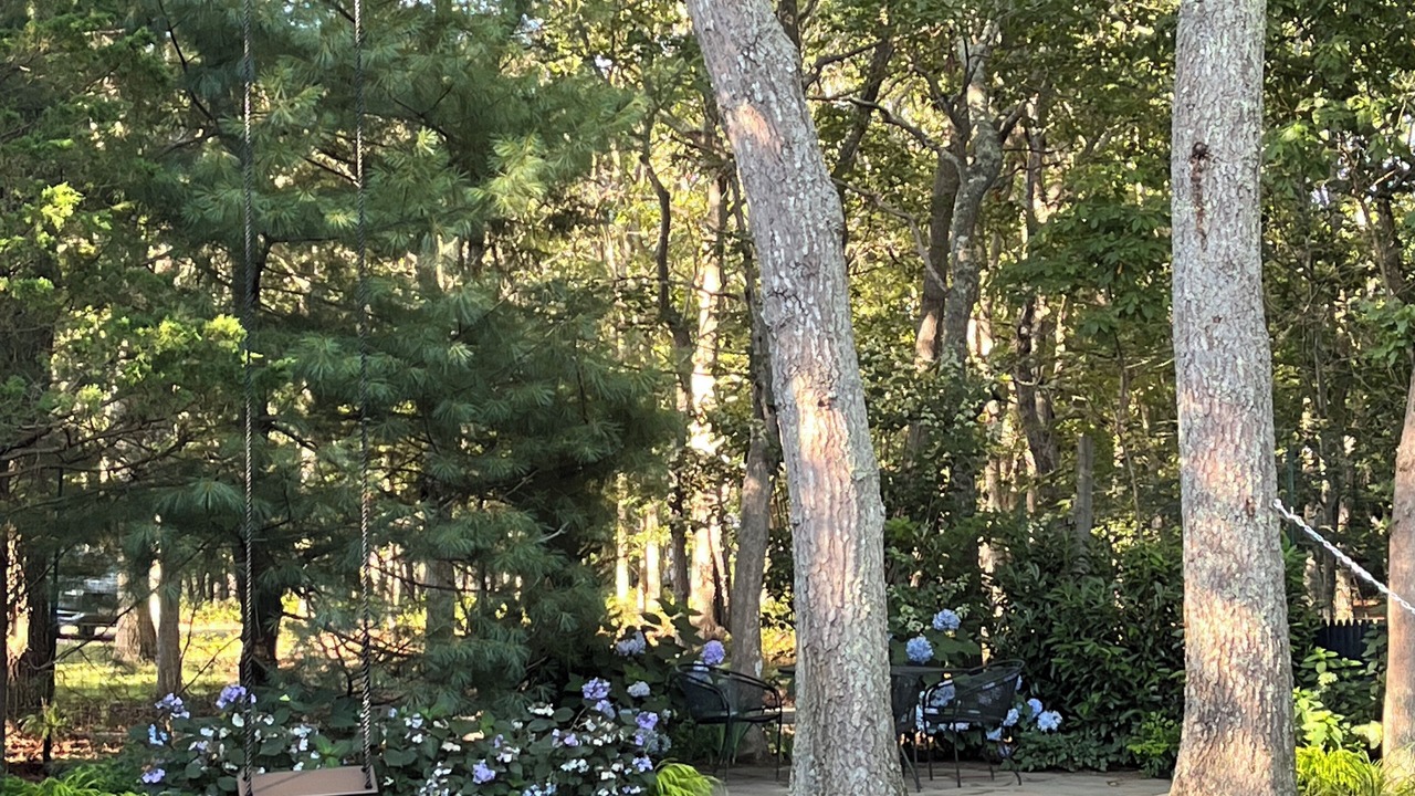 Photo of Others in Northwest Harbor