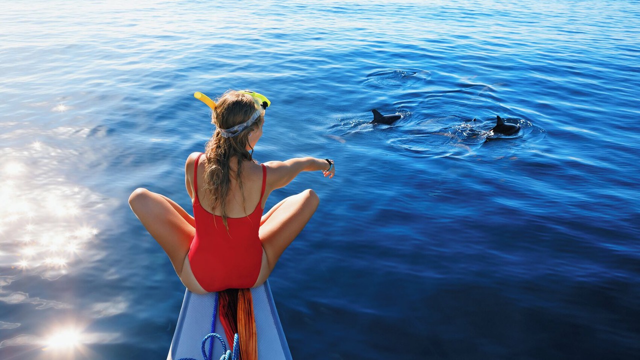 Photo of Others in Praslin Island