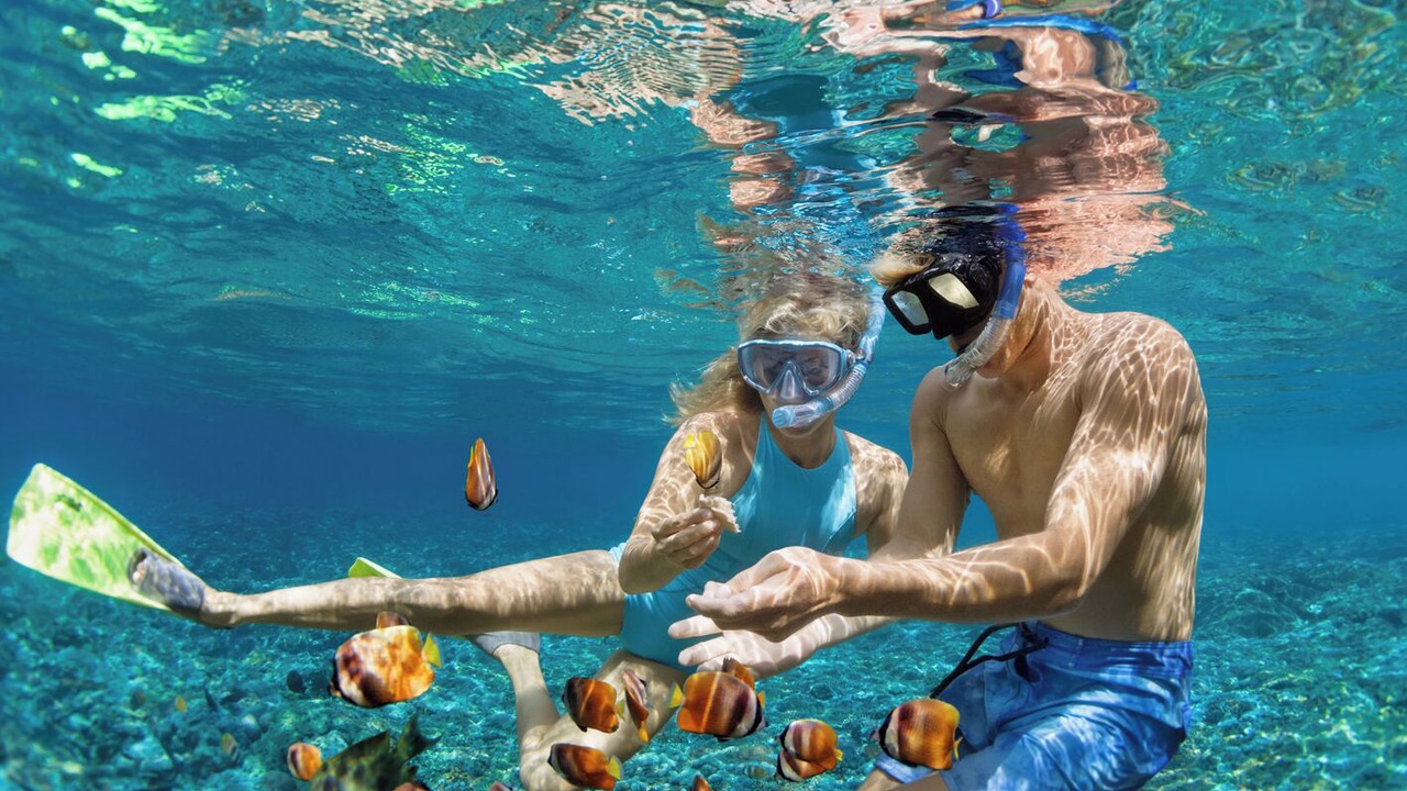 Photo of Others in Praslin Island