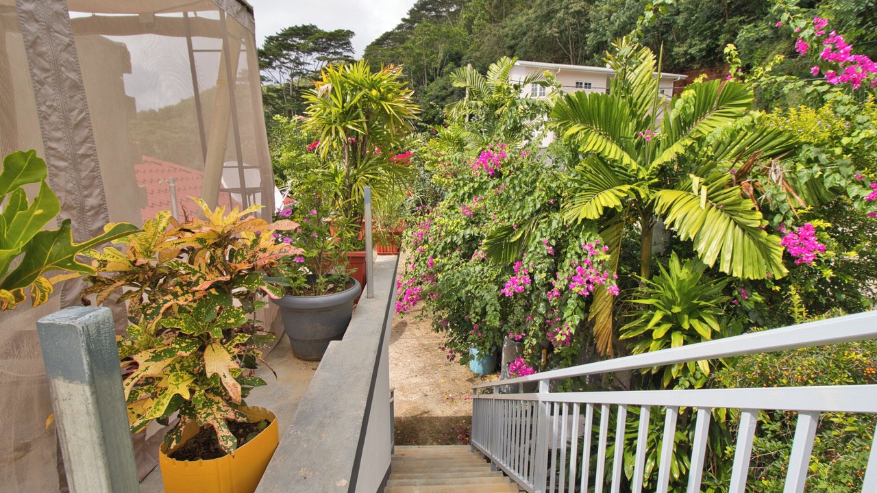 Photo of Outdoor in Anse Royale