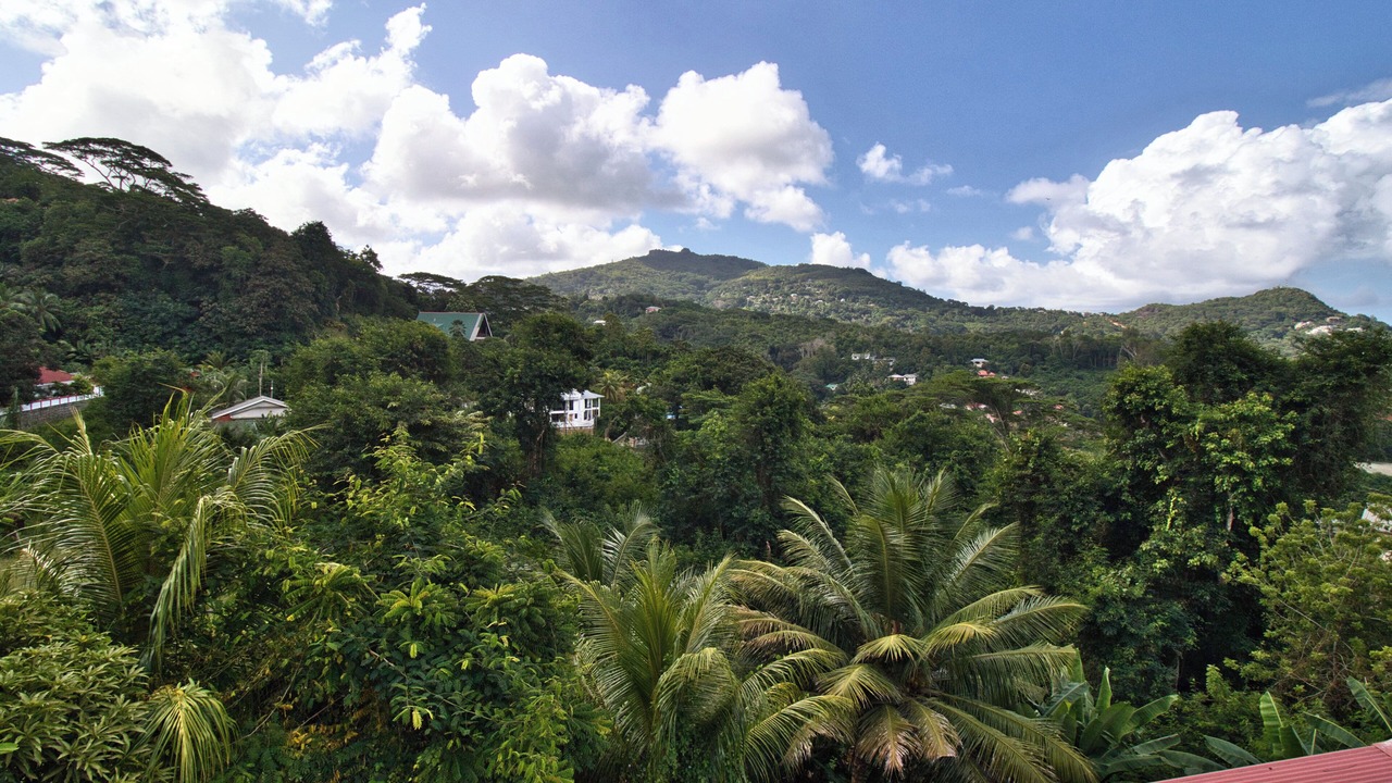 Photo of Others in Anse Royale
