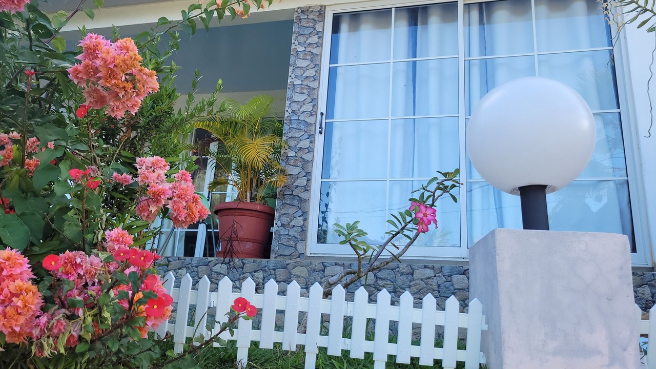 Photo of Outdoor in Anse Royale