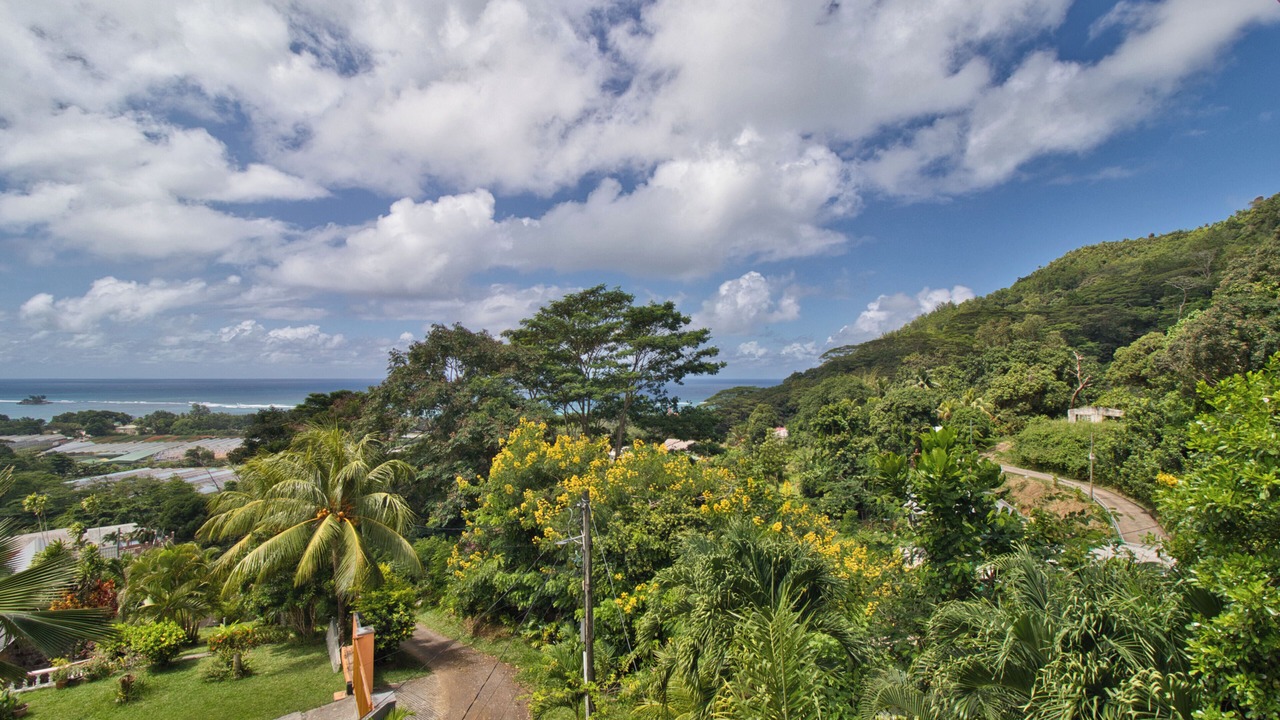Photo of Others in Anse Royale