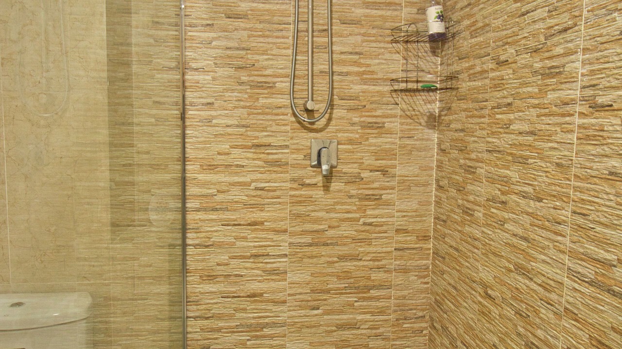 Photo of Bathroom in Anse Royale