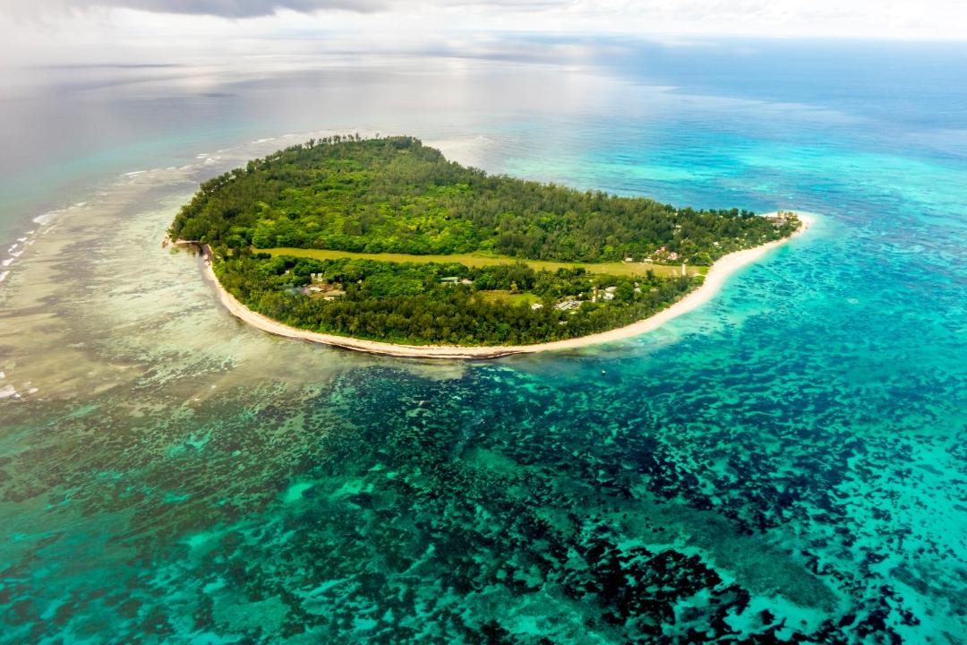 Photo of Others in Denis Island
