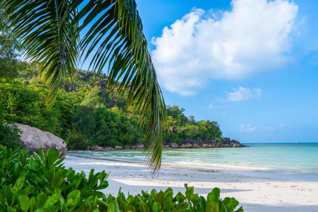 Photo of Others in Anse Volbert Village