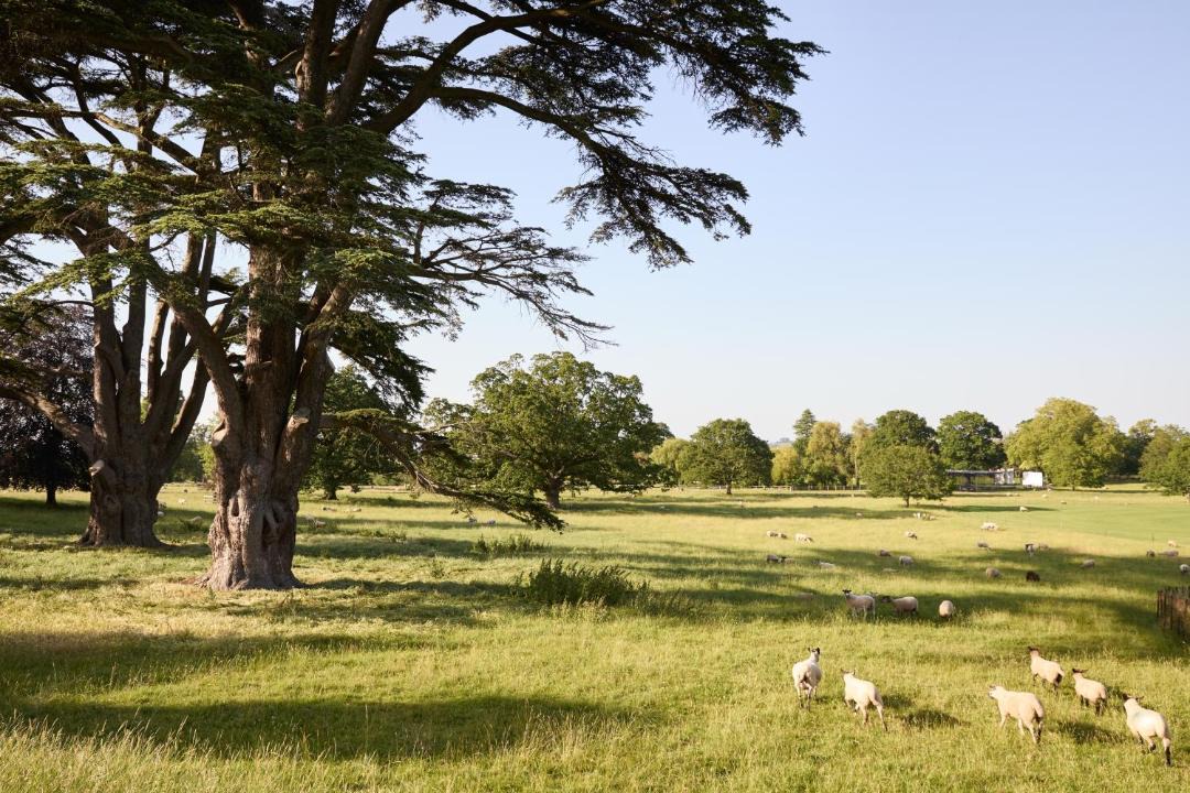 Photo of Others in Dumbleton
