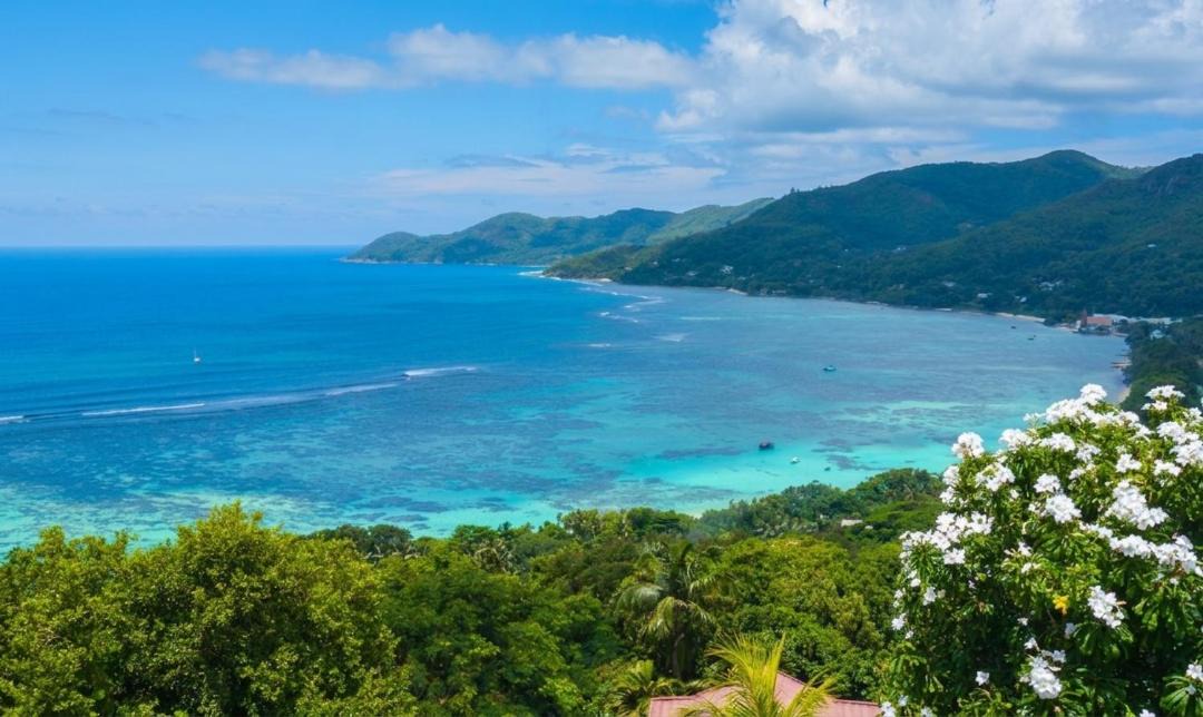 Photo of Others in Anse Royale