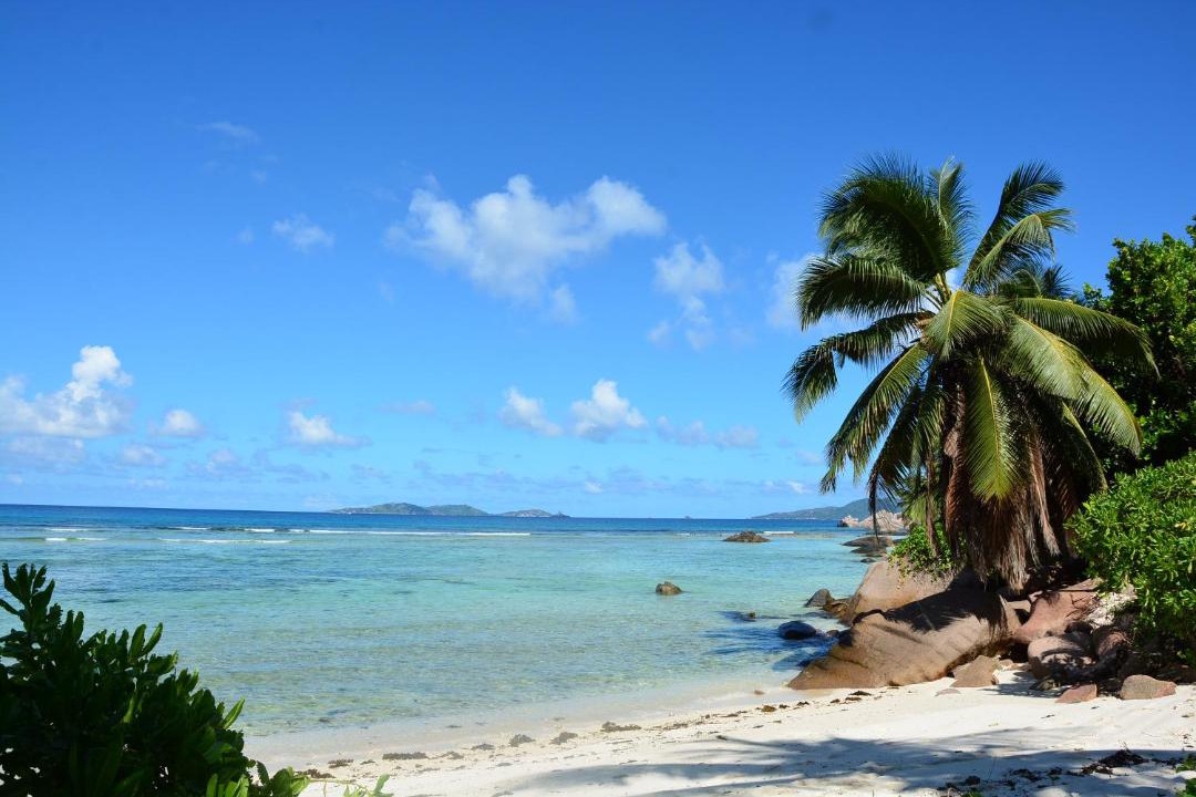 Photo of Others in Anse la Blague