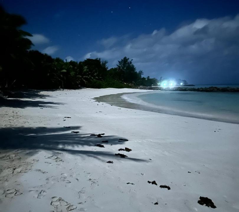 Photo of Others in Anse Kerlan
