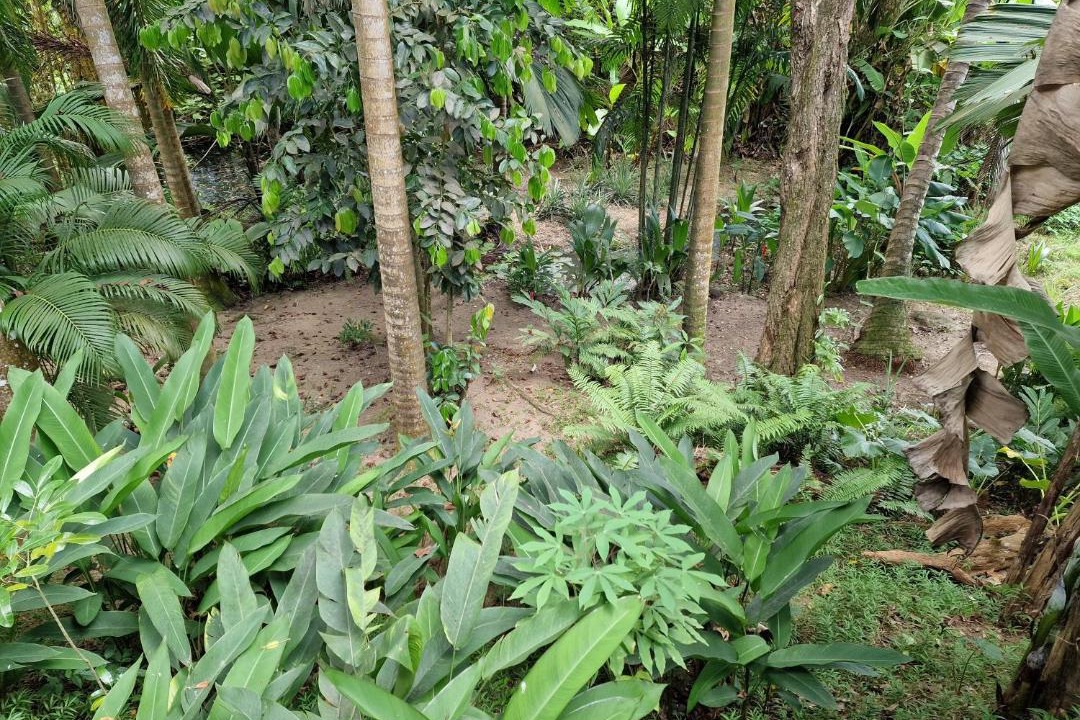 Photo of Others in Mahe Island