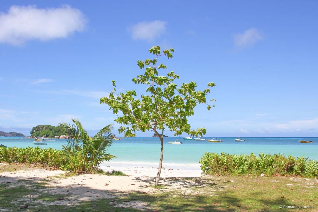 Photo of Others in Praslin Island