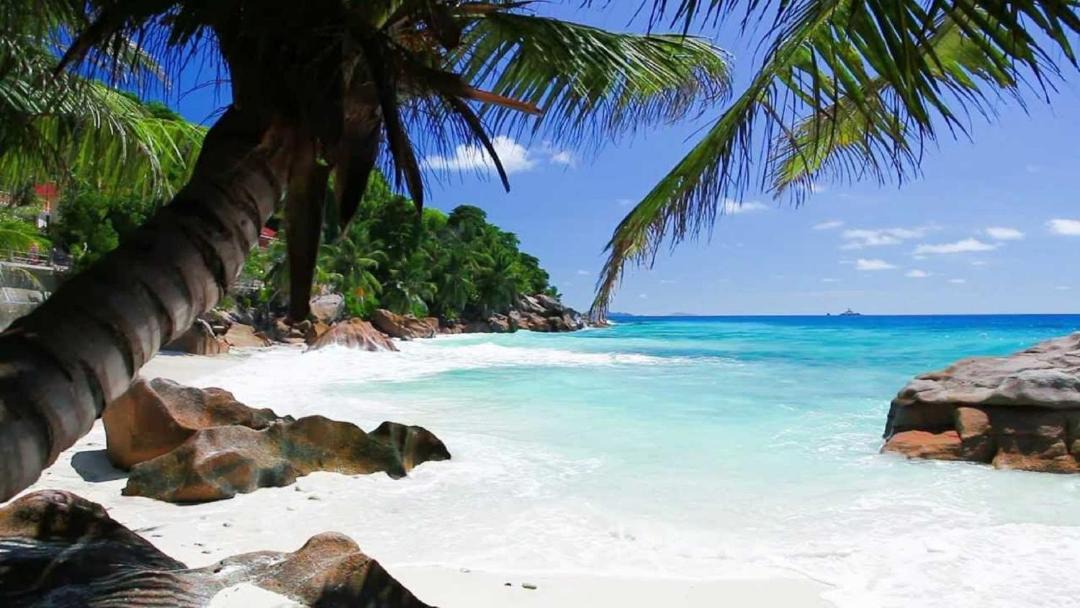 Photo of Others in La Digue